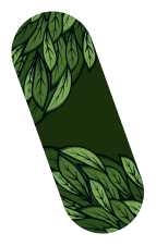 Kratom Pattern 3