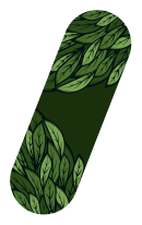 Kratom Pattern 4