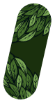 Kratom Pattern 5